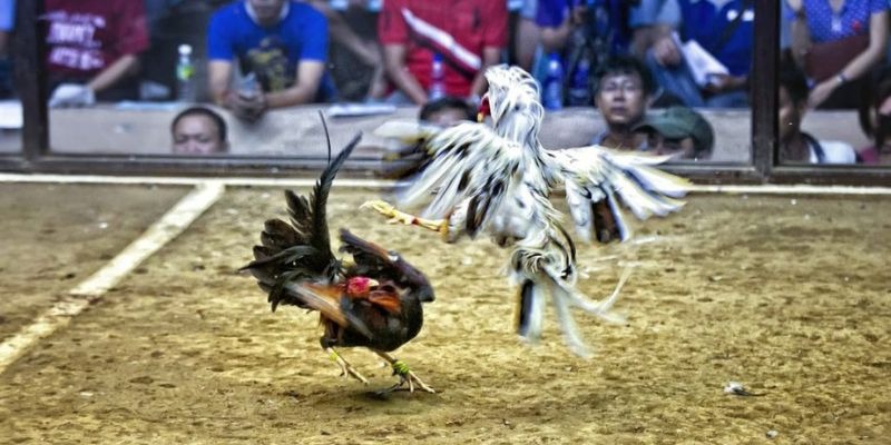 s666 plus ﻿đăng nhập lô đề uy tín