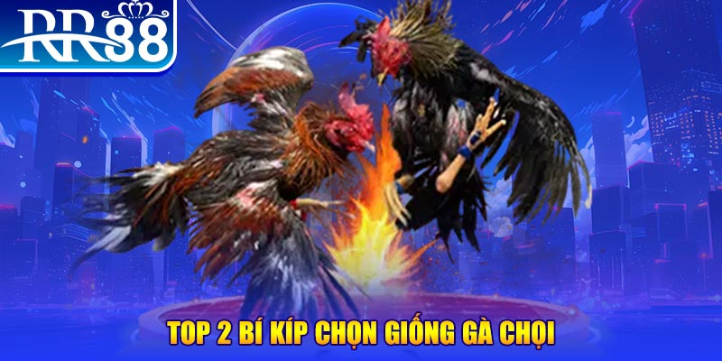 s666 plus bắn cá h5