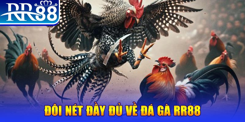 s666 plus gà chọi hoà phong