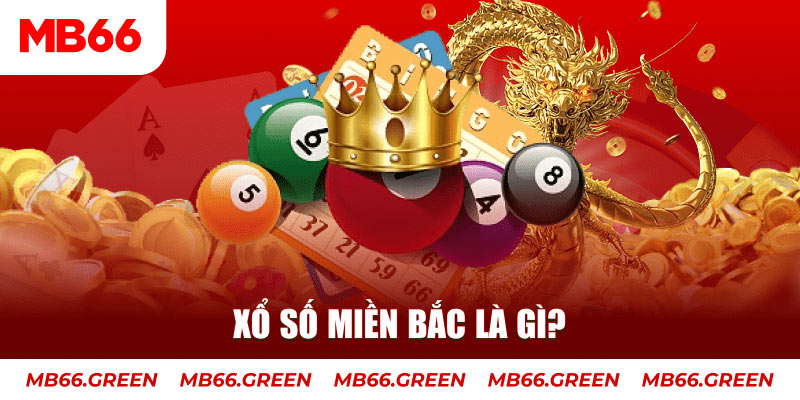 s666 plus đá gà 88