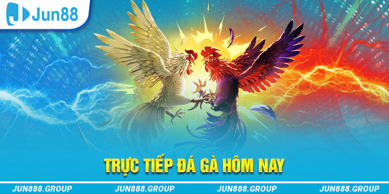 s666 plus trực tiếp đá gà thomo