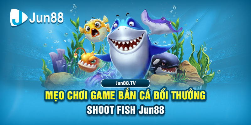 s666 plus tải game đánh bài online về máy tính