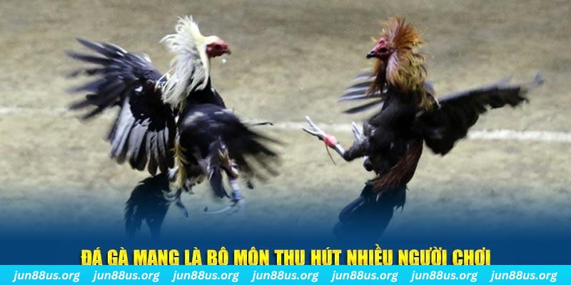 s666 plus xổ số long an