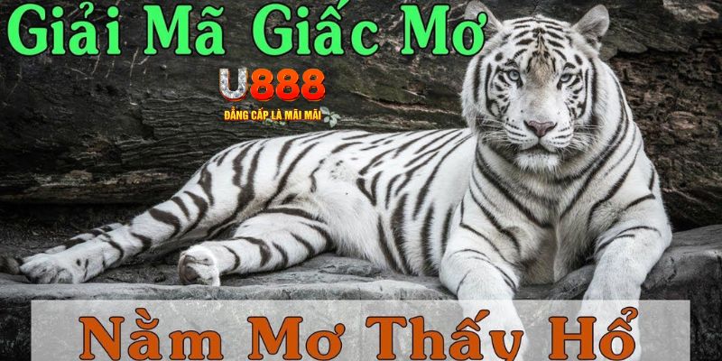 s666 plus Bài Poker Joker