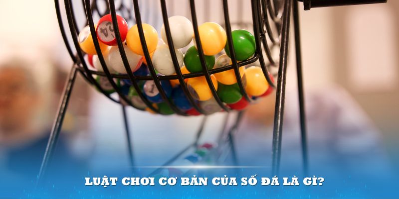 s666 plus Đĩa màu ace