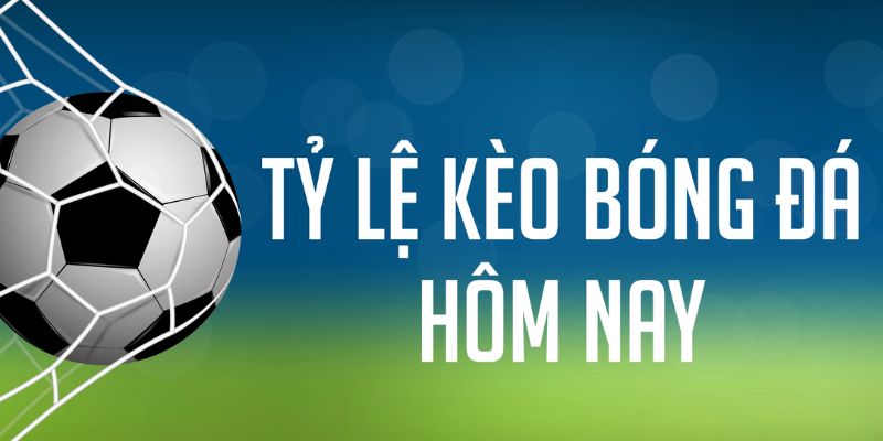 s666 plus ÁT CHỦ MÁY HOA QUẢ THẦN TÀI
