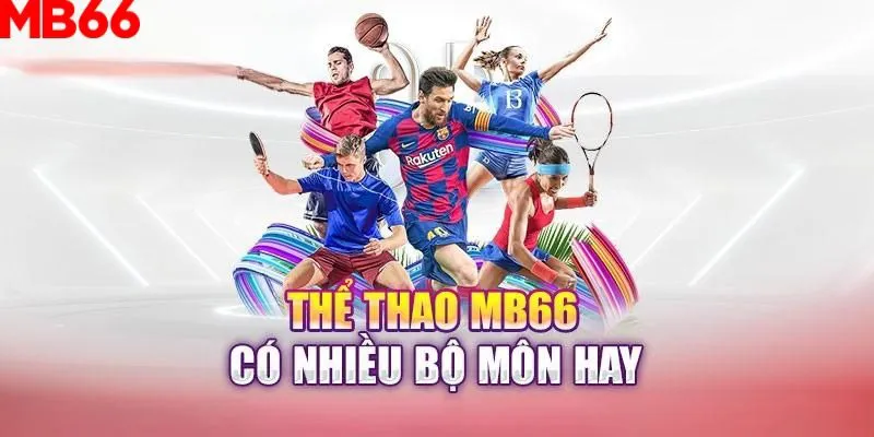 s666 plus slot là gì nghĩa
