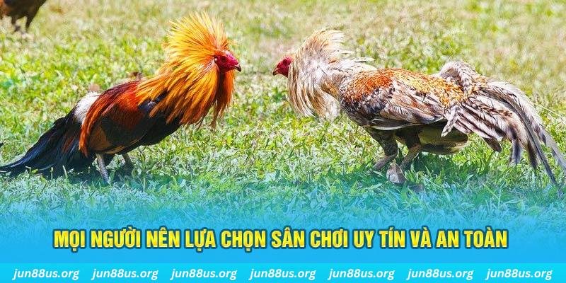 s666 plus Tài Xỉu