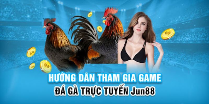 s666 plus slot có nghĩa là gì