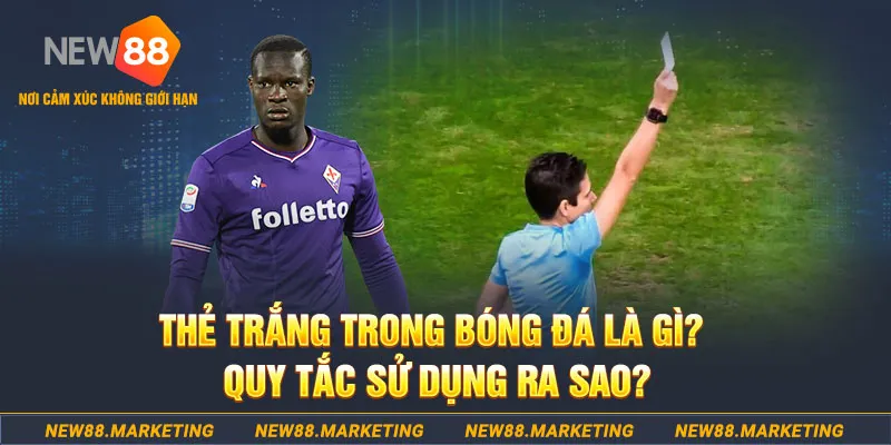 s666 plus nổ hủ là gì