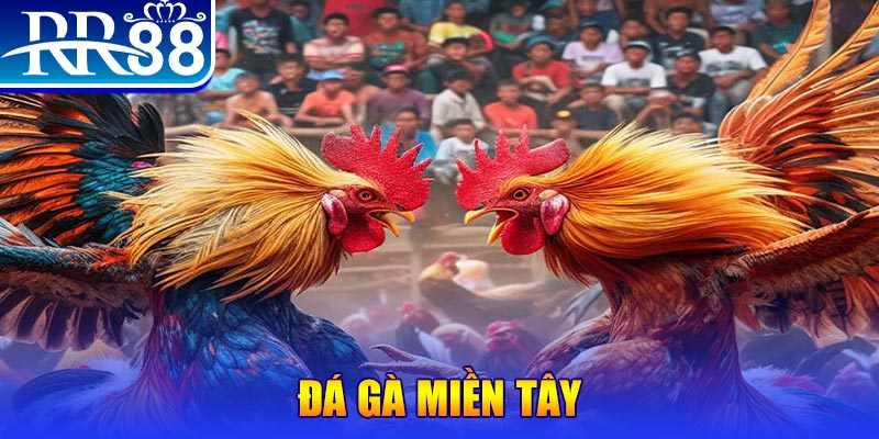 s666 plus download game danh bai iwin ve may tinh