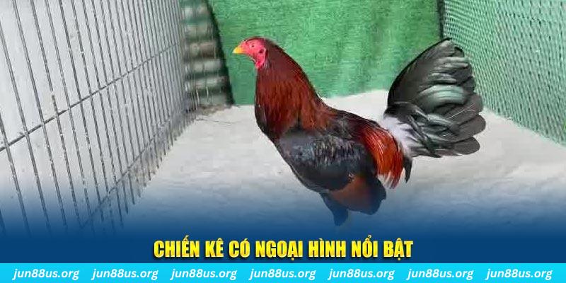 s666 plus nhạc slot là gì